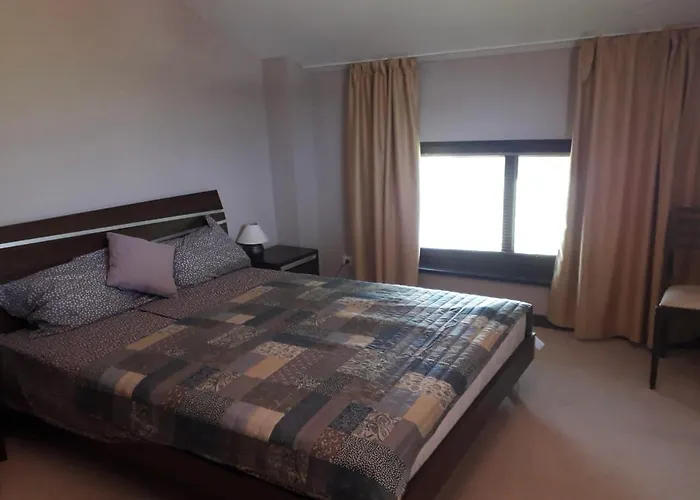 By Zenit In Terra Complex B30 拉兹洛格