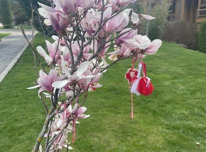 公寓 By Zenit In Terra Complex B30 *